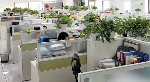 1277�Ǽʵ���(�й���)�ٷ���Ϸ��ַ