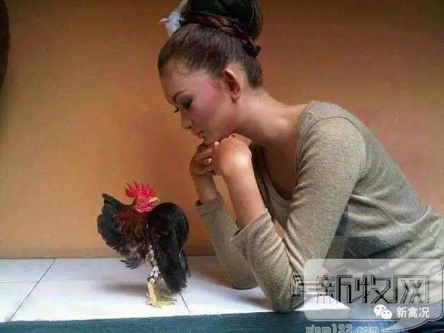 1277�Ǽʵ���(�й���)�ٷ���Ϸ��ַ