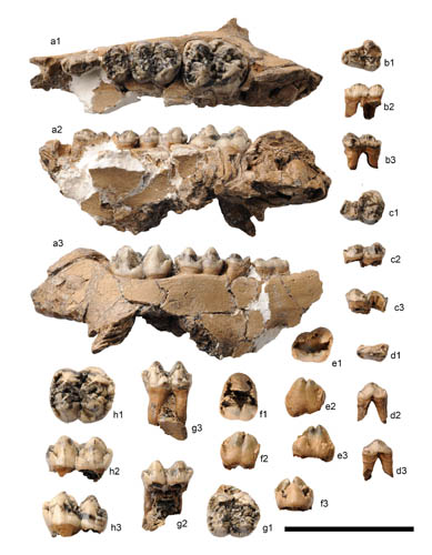20180408_091224 1277ÐǼʵç×Ó(ÖйúÓÎ)¹Ù·½ÓÎÏ·ÍøÖ·