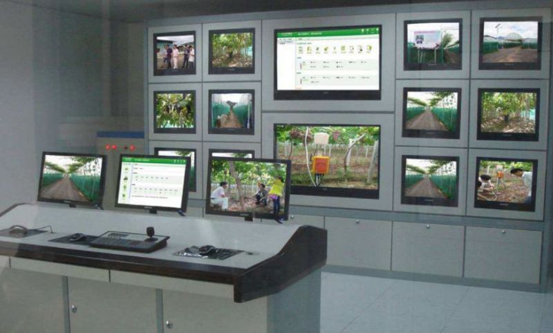 1277�Ǽʵ���(�й���)�ٷ���Ϸ��ַ