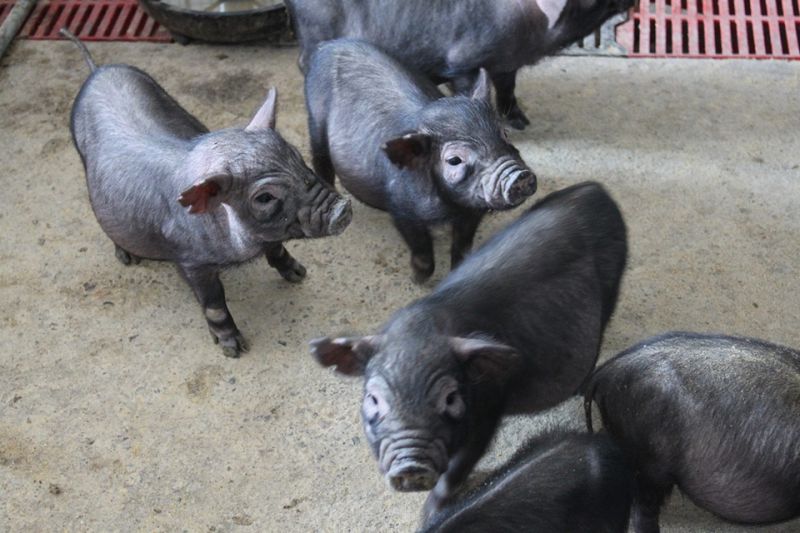 20201228_143500 1277ÐǼʵç×Ó(ÖйúÓÎ)¹Ù·½ÓÎÏ·ÍøÖ·