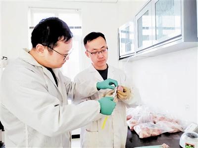 1277�Ǽʵ���(�й���)�ٷ���Ϸ��ַ