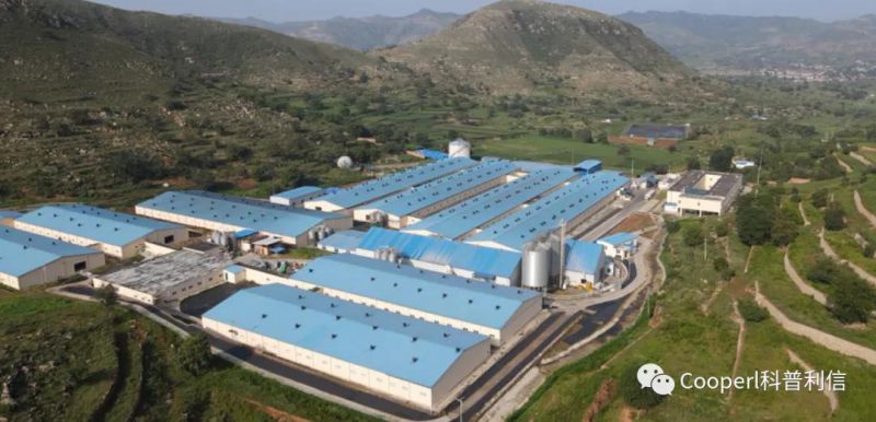 1277�Ǽʵ���(�й���)�ٷ���Ϸ��ַ