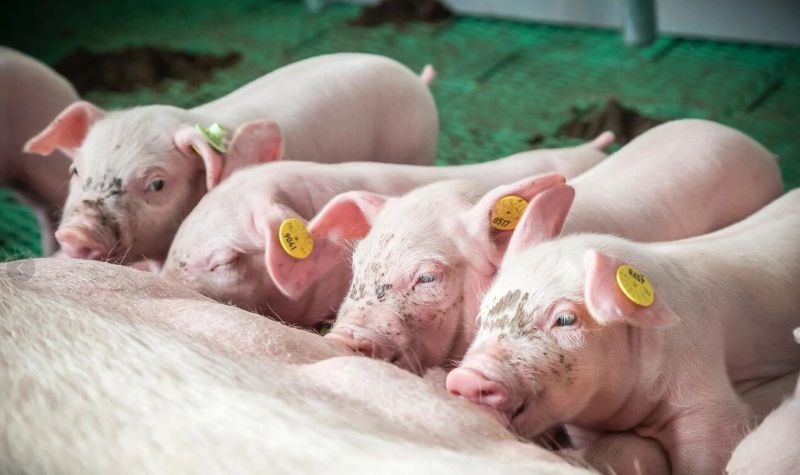 1277�Ǽʵ���(�й���)�ٷ���Ϸ��ַ