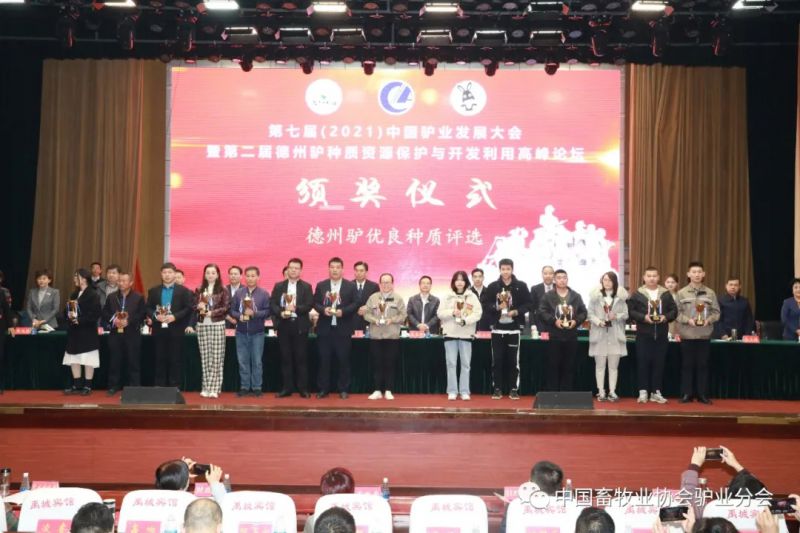 1277�Ǽʵ���(�й���)�ٷ���Ϸ��ַ