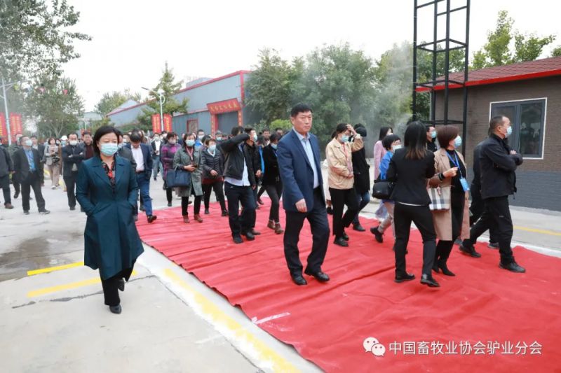 1277�Ǽʵ���(�й���)�ٷ���Ϸ��ַ