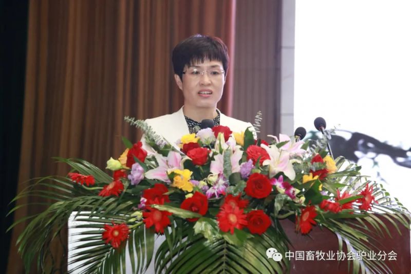 1277�Ǽʵ���(�й���)�ٷ���Ϸ��ַ