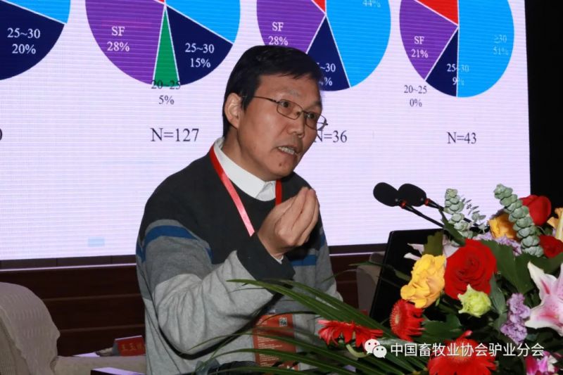 1277�Ǽʵ���(�й���)�ٷ���Ϸ��ַ