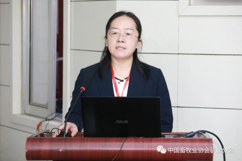 1277�Ǽʵ���(�й���)�ٷ���Ϸ��ַ