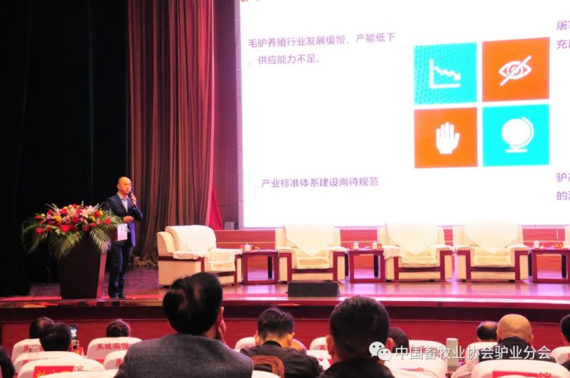 1277�Ǽʵ���(�й���)�ٷ���Ϸ��ַ