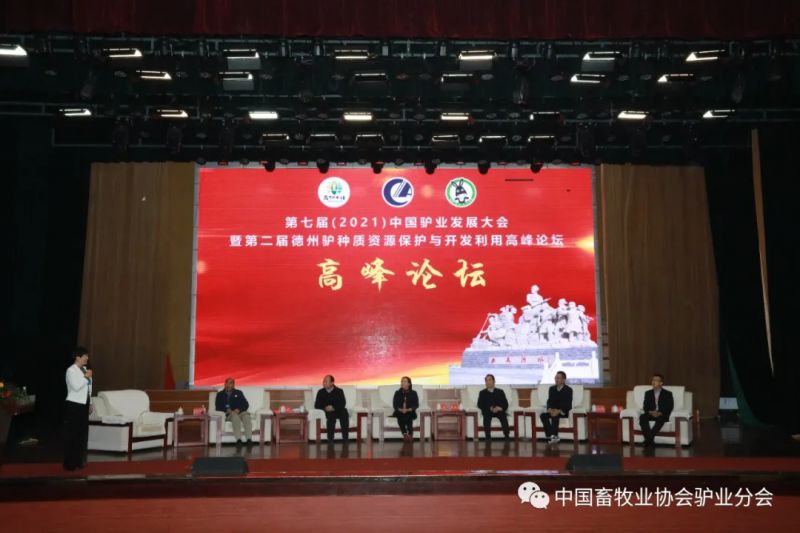 1277�Ǽʵ���(�й���)�ٷ���Ϸ��ַ