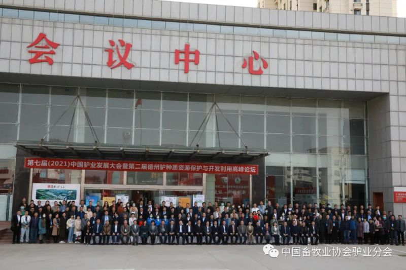 1277�Ǽʵ���(�й���)�ٷ���Ϸ��ַ