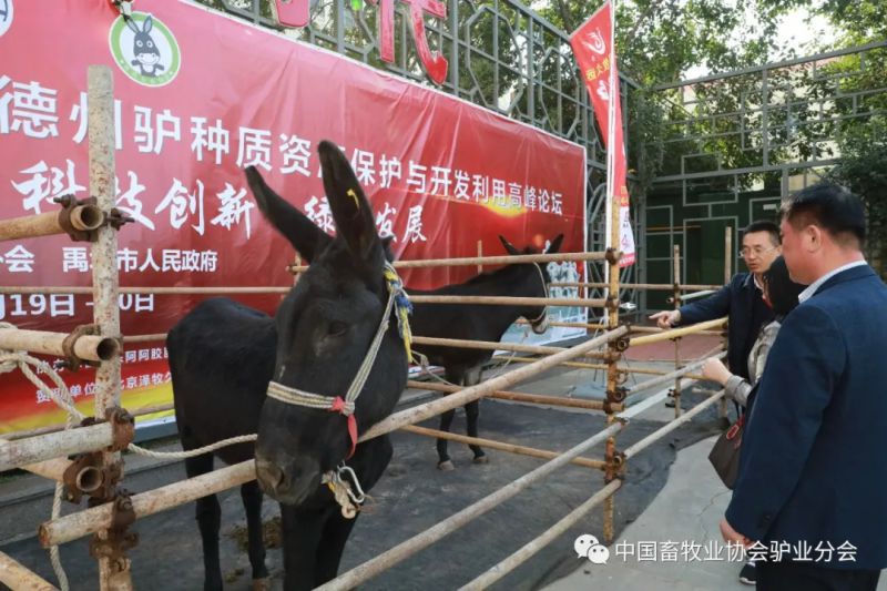 1277�Ǽʵ���(�й���)�ٷ���Ϸ��ַ