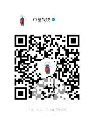 1277�Ǽʵ���(�й���)�ٷ���Ϸ��ַ