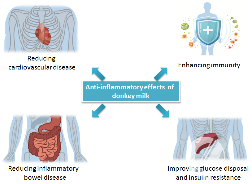 1277�Ǽʵ���(�й���)�ٷ���Ϸ��ַ