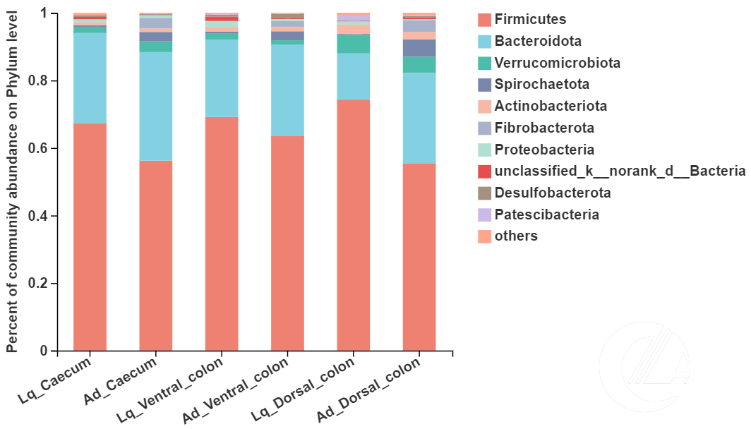 1277�Ǽʵ���(�й���)�ٷ���Ϸ��ַ