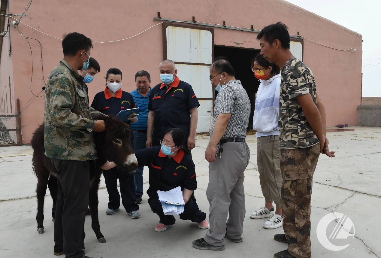 1277�Ǽʵ���(�й���)�ٷ���Ϸ��ַ