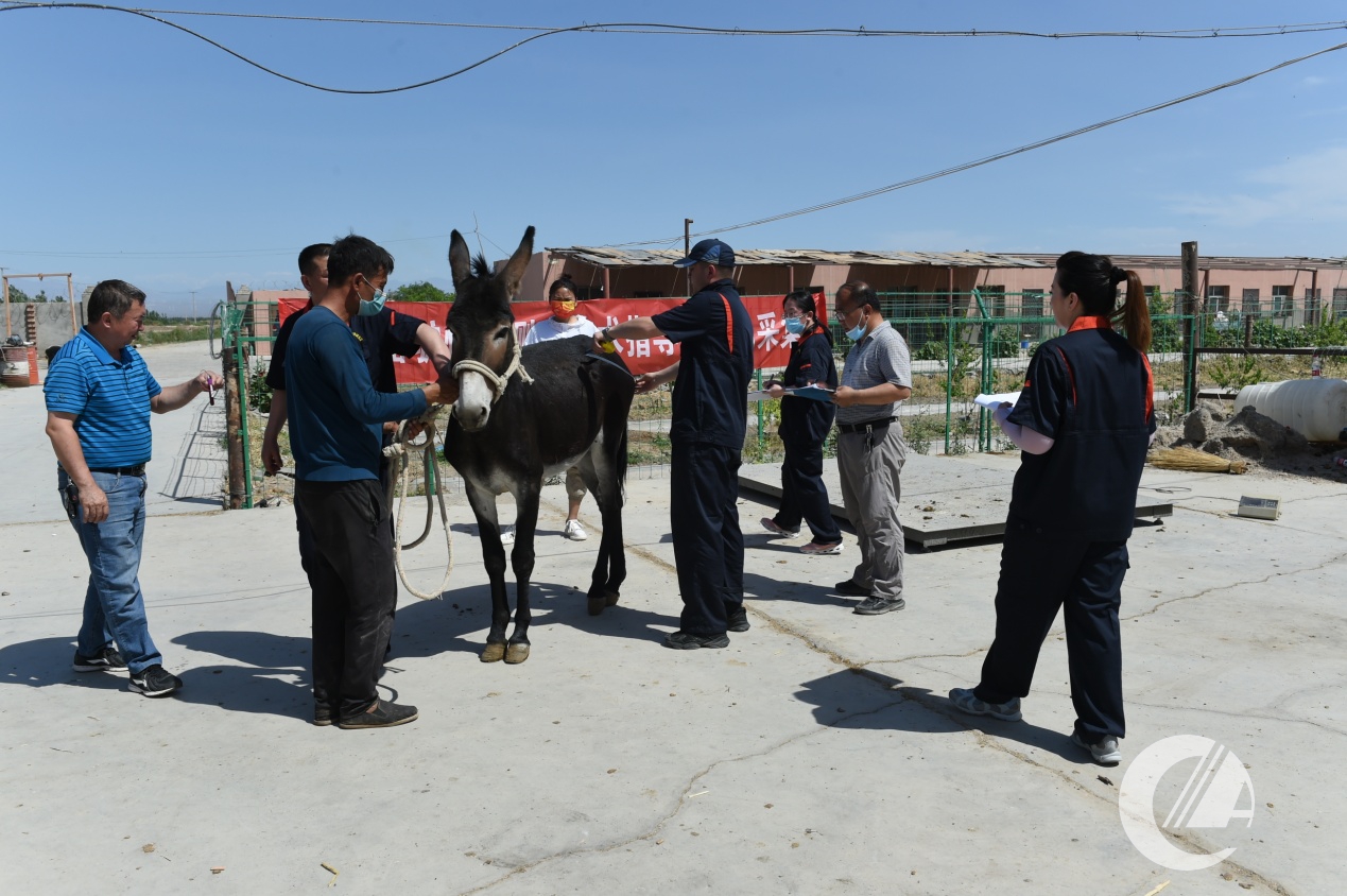 1277�Ǽʵ���(�й���)�ٷ���Ϸ��ַ