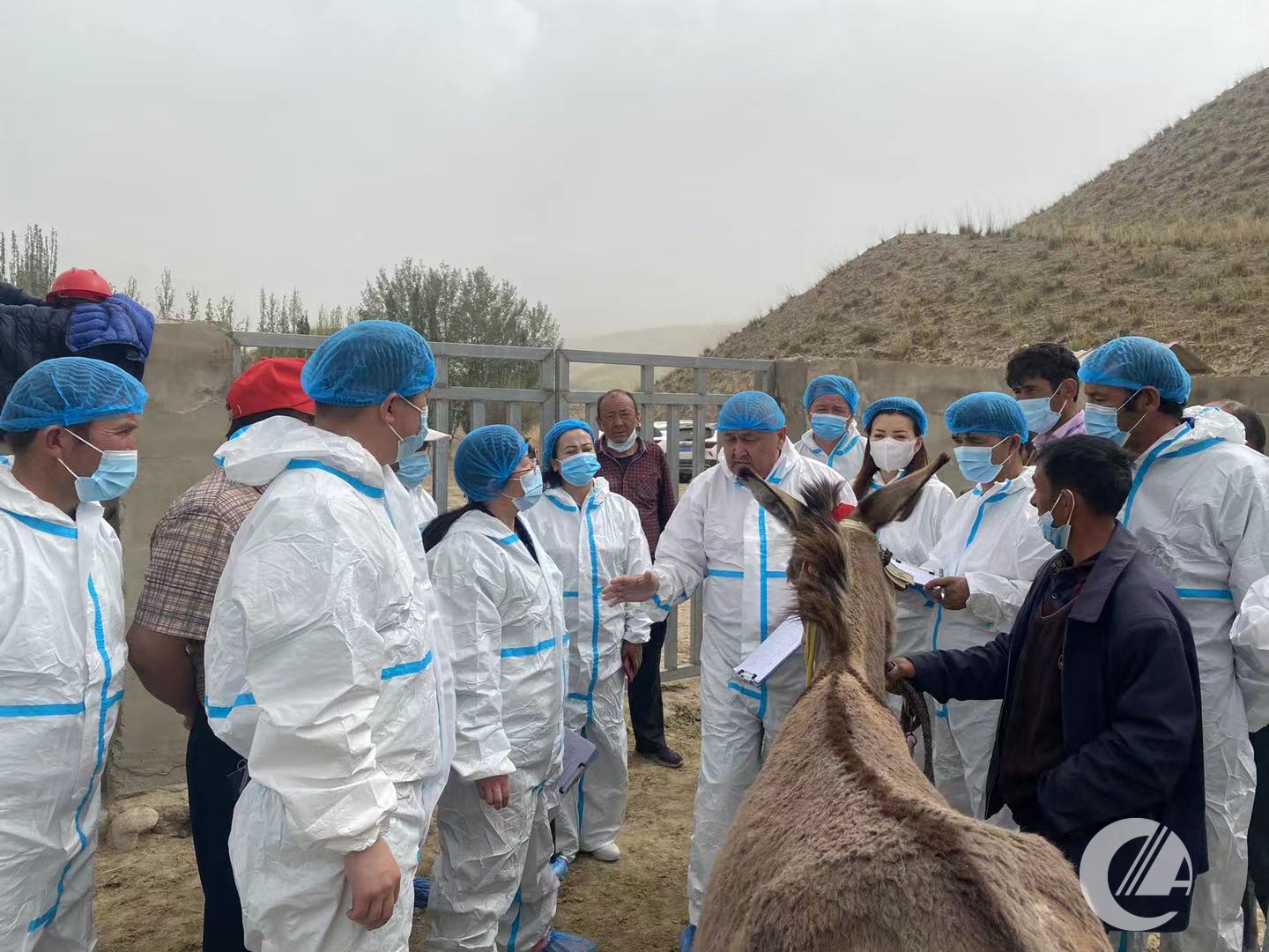 1277�Ǽʵ���(�й���)�ٷ���Ϸ��ַ