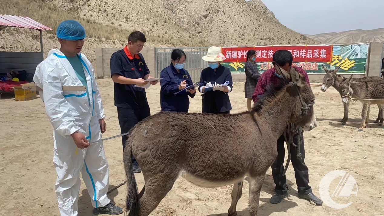 1277�Ǽʵ���(�й���)�ٷ���Ϸ��ַ