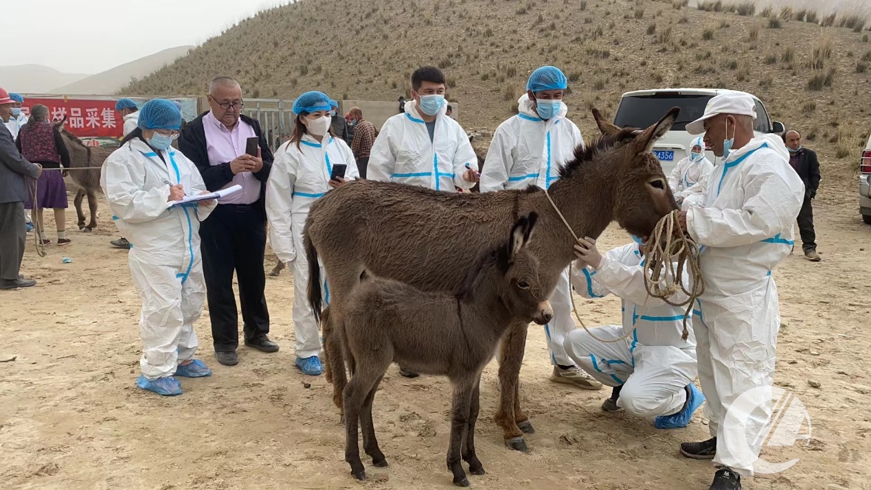 1277�Ǽʵ���(�й���)�ٷ���Ϸ��ַ