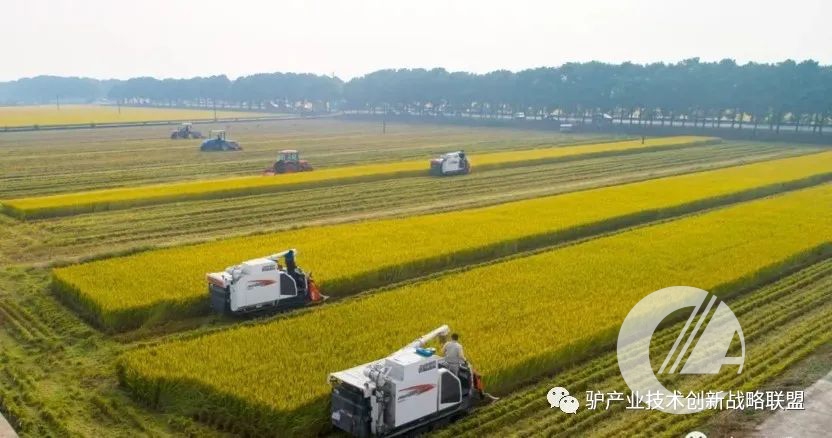 1277�Ǽʵ���(�й���)�ٷ���Ϸ��ַ