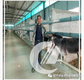 1277�Ǽʵ���(�й���)�ٷ���Ϸ��ַ