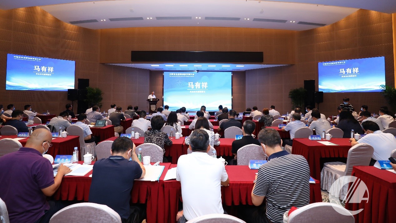 1277�Ǽʵ���(�й���)�ٷ���Ϸ��ַ