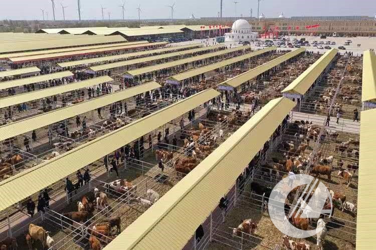 1277�Ǽʵ���(�й���)�ٷ���Ϸ��ַ