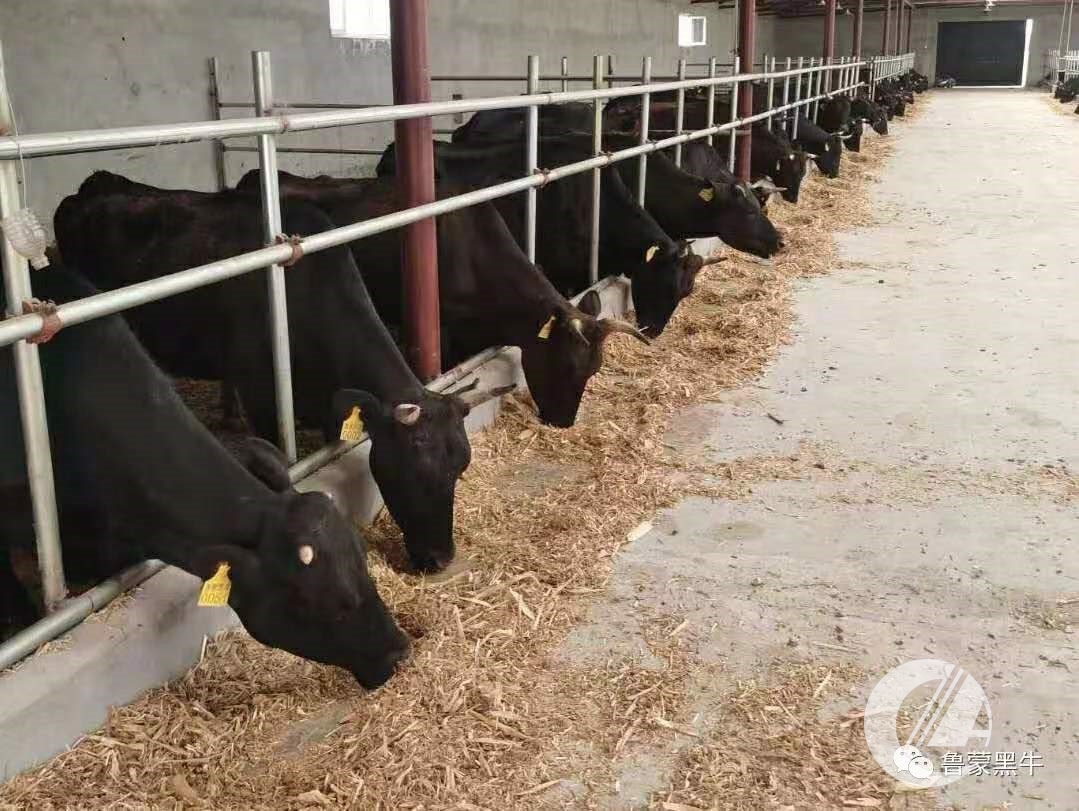 1277�Ǽʵ���(�й���)�ٷ���Ϸ��ַ