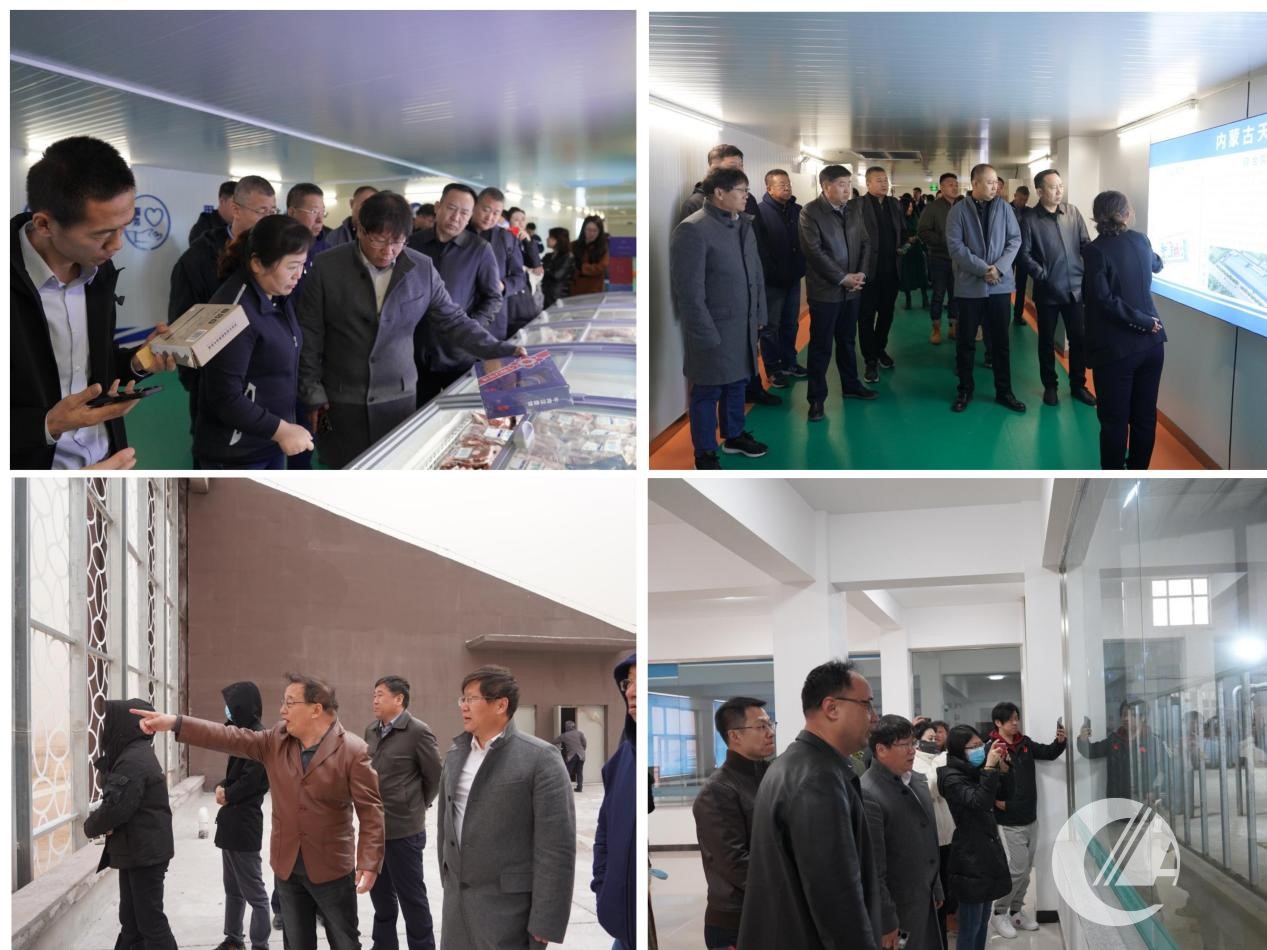 1277�Ǽʵ���(�й���)�ٷ���Ϸ��ַ