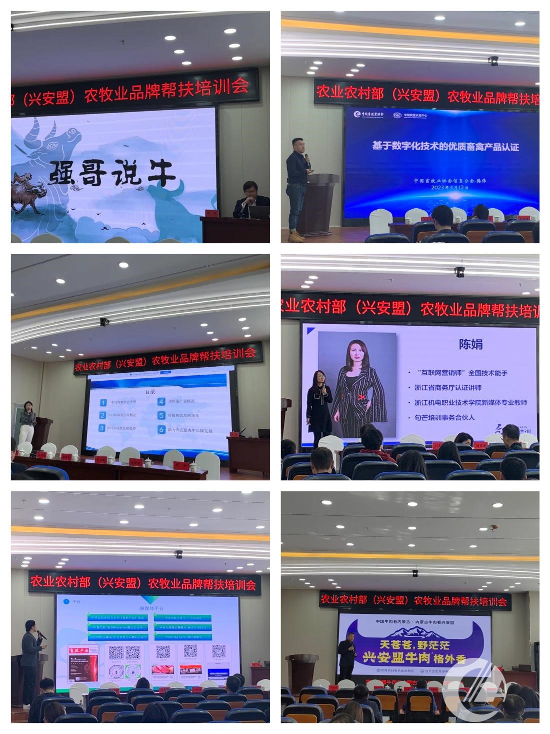 1277�Ǽʵ���(�й���)�ٷ���Ϸ��ַ