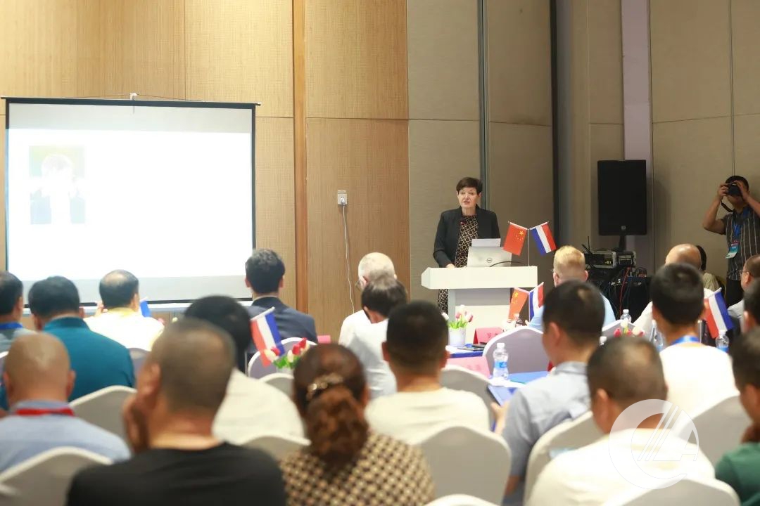 1277�Ǽʵ���(�й���)�ٷ���Ϸ��ַ