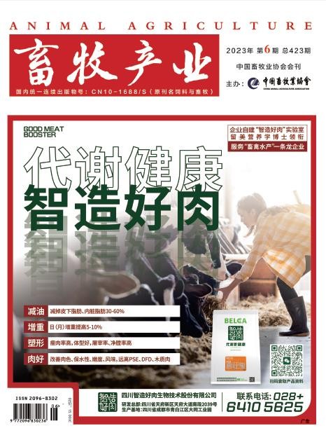 1277�Ǽʵ���(�й���)�ٷ���Ϸ��ַ