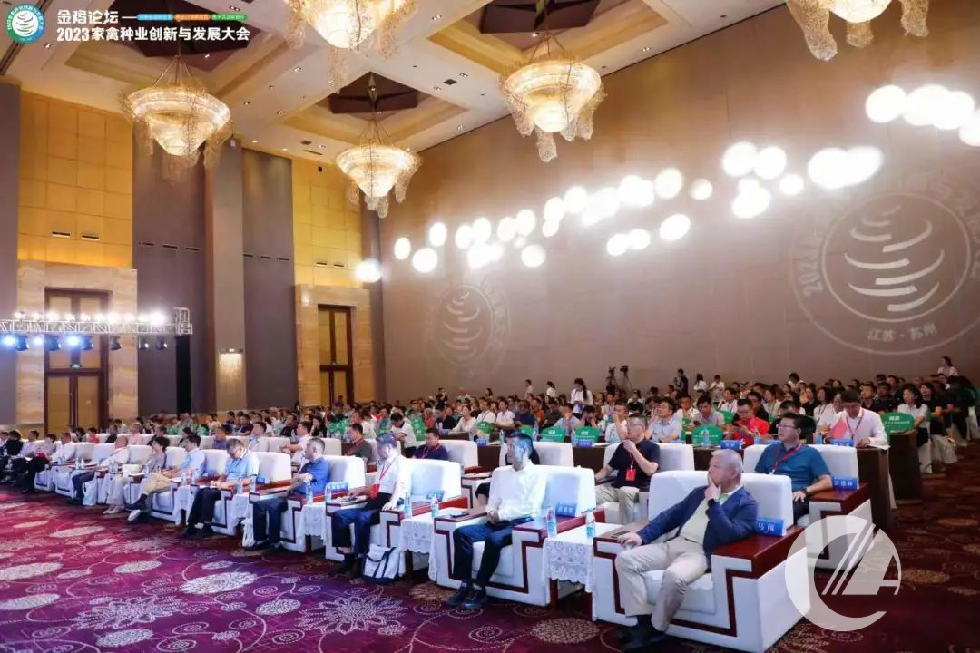 1277�Ǽʵ���(�й���)�ٷ���Ϸ��ַ