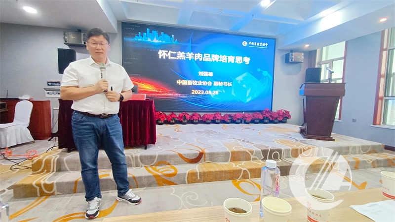 1277�Ǽʵ���(�й���)�ٷ���Ϸ��ַ