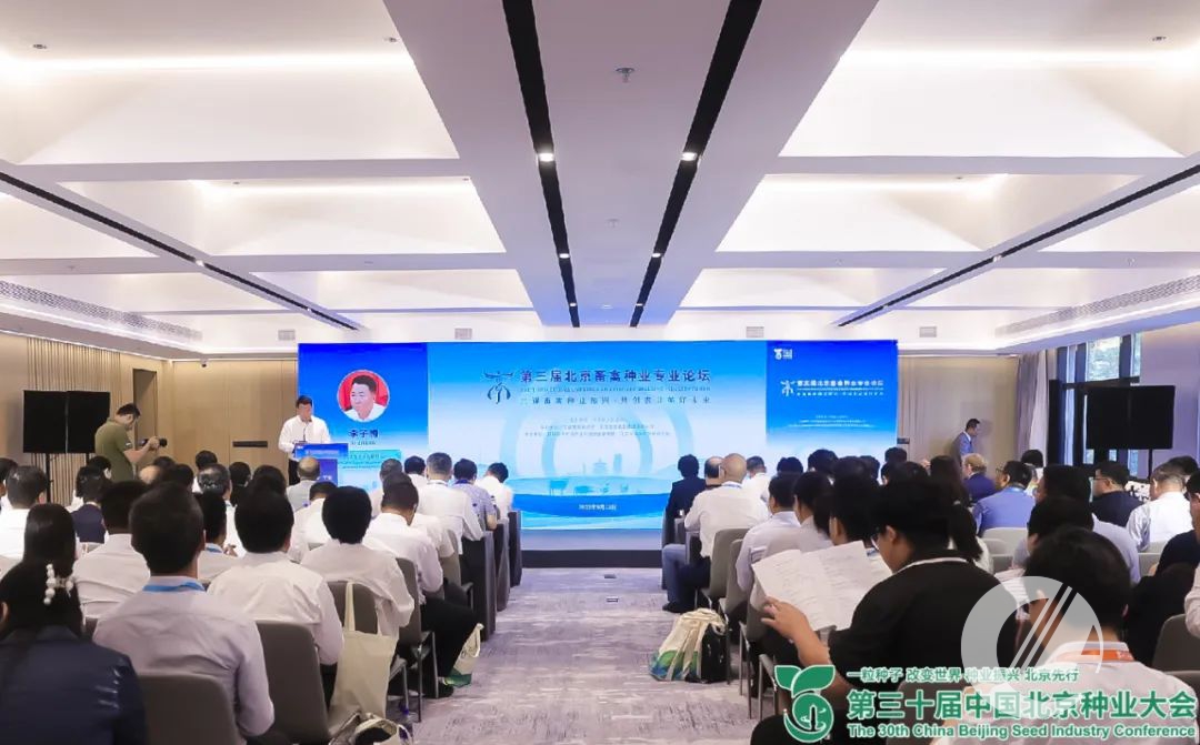 1277�Ǽʵ���(�й���)�ٷ���Ϸ��ַ