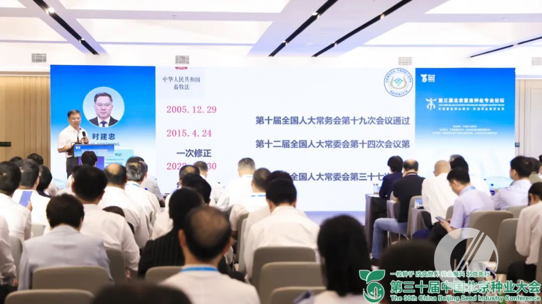 1277�Ǽʵ���(�й���)�ٷ���Ϸ��ַ