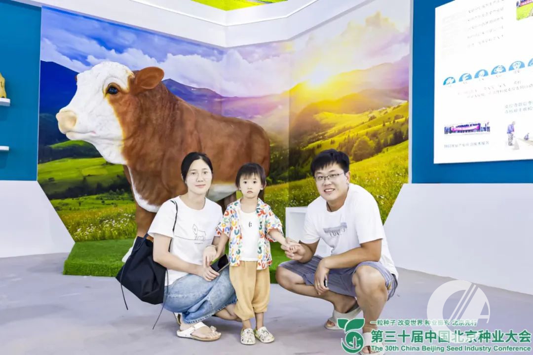 1277�Ǽʵ���(�й���)�ٷ���Ϸ��ַ