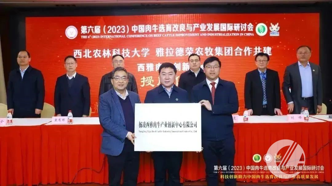 1277�Ǽʵ���(�й���)�ٷ���Ϸ��ַ