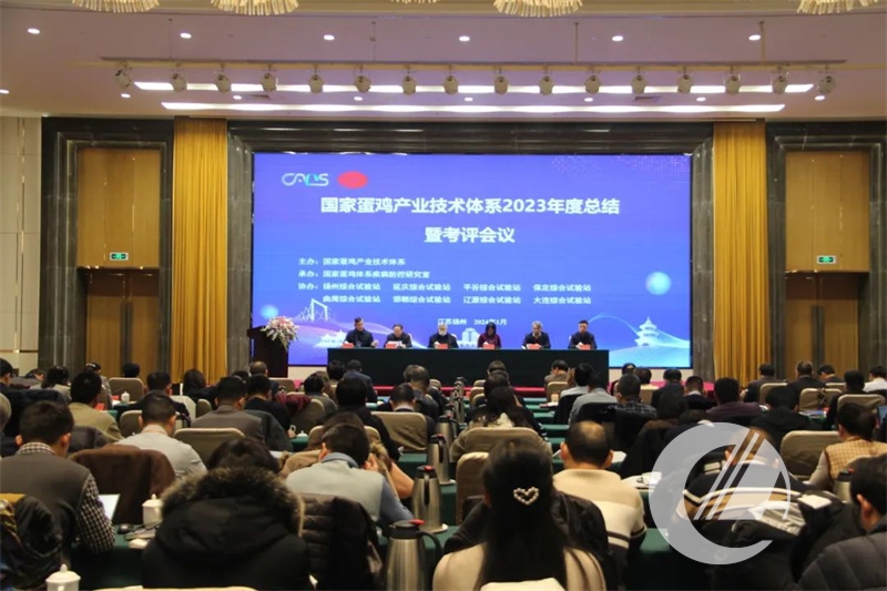 1277�Ǽʵ���(�й���)�ٷ���Ϸ��ַ