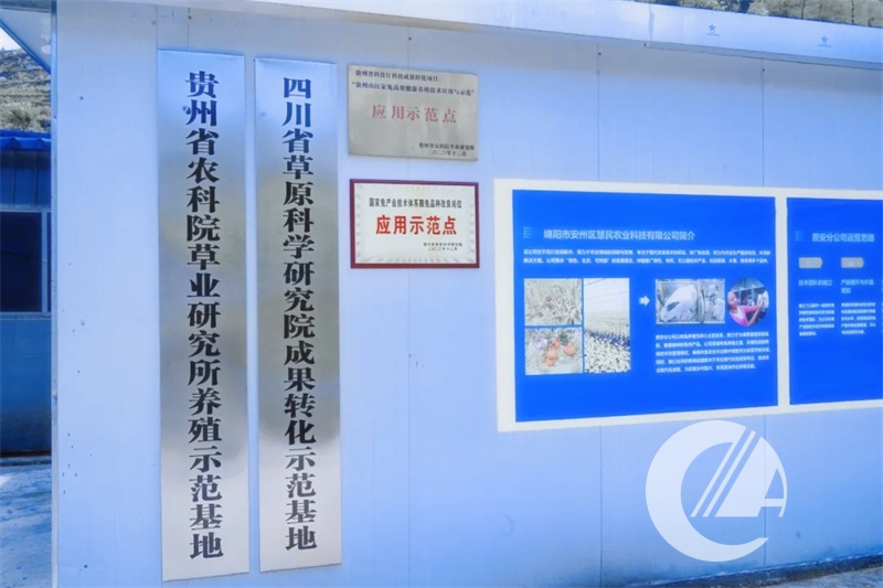 1277�Ǽʵ���(�й���)�ٷ���Ϸ��ַ