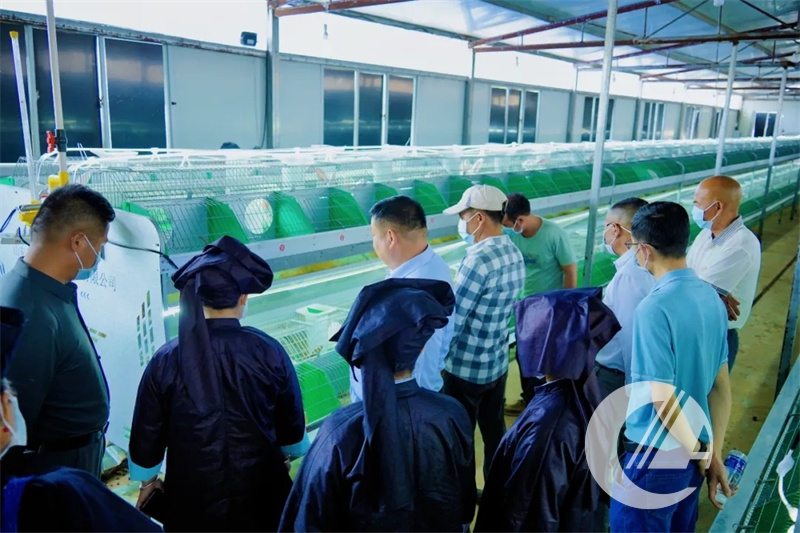 1277�Ǽʵ���(�й���)�ٷ���Ϸ��ַ