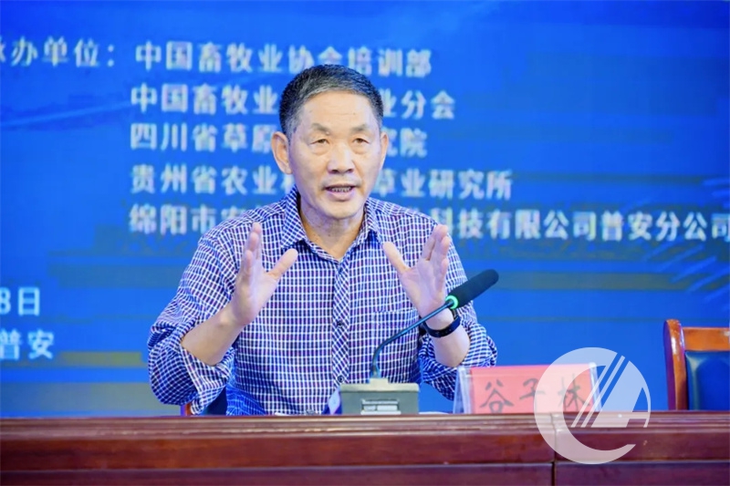 1277�Ǽʵ���(�й���)�ٷ���Ϸ��ַ