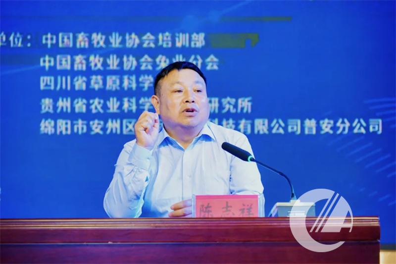 1277�Ǽʵ���(�й���)�ٷ���Ϸ��ַ