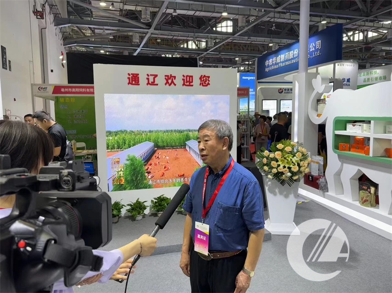 1277�Ǽʵ���(�й���)�ٷ���Ϸ��ַ