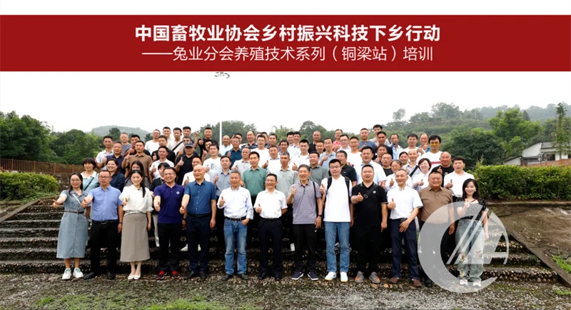 1277�Ǽʵ���(�й���)�ٷ���Ϸ��ַ