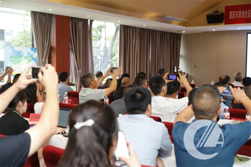 1277�Ǽʵ���(�й���)�ٷ���Ϸ��ַ