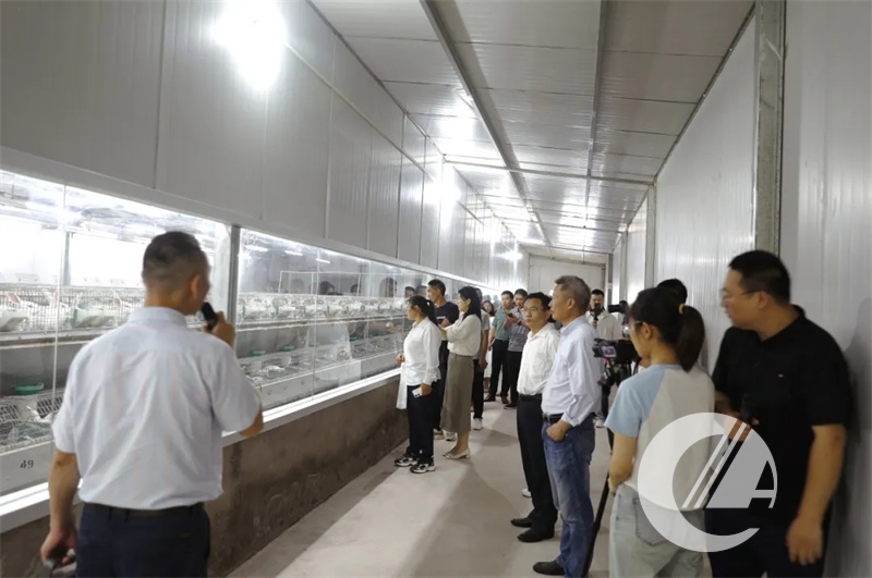 1277�Ǽʵ���(�й���)�ٷ���Ϸ��ַ