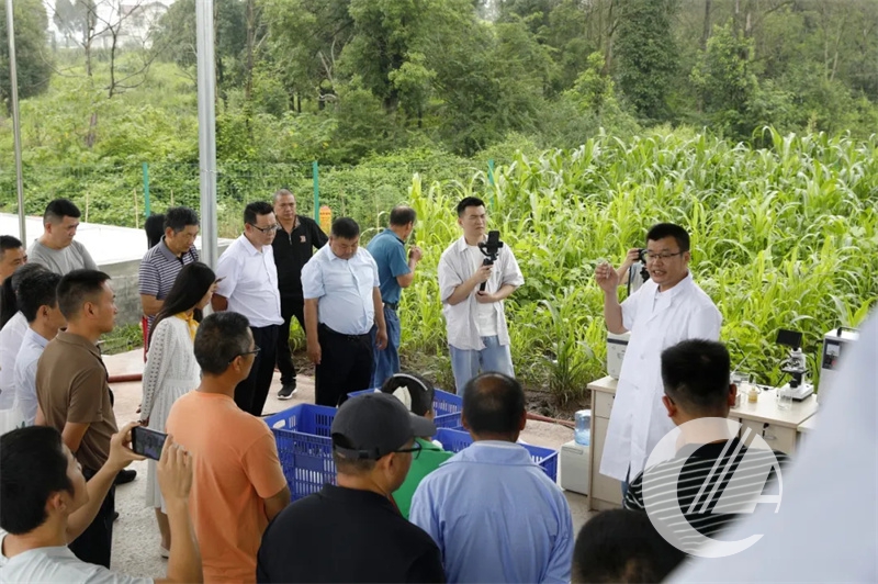 1277�Ǽʵ���(�й���)�ٷ���Ϸ��ַ